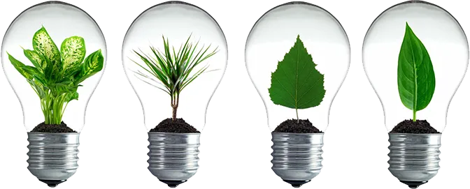 Bombillas con plantas creciendo en su interior