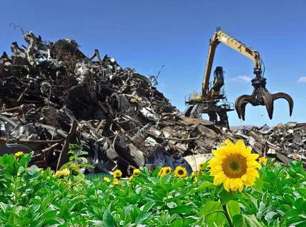 Grúa con pulpo sobre un montón de chatarra, con girasoles en primer plano