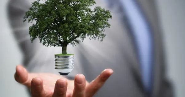 Mano que sostiene una bombilla de la que crece un árbol